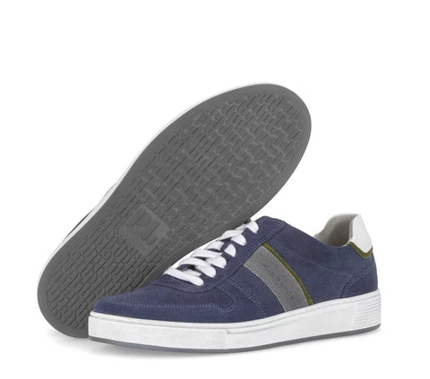 Gabor Sneaker fjord/ash kombi