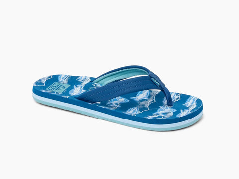 Reef Kids AHI royal sharks