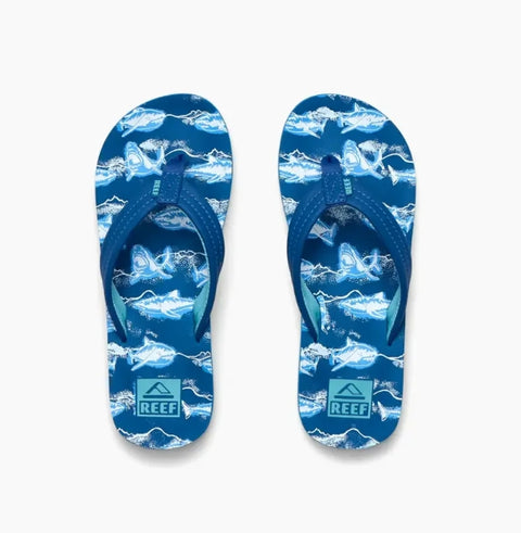 Reef Kids AHI royal sharks