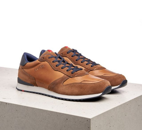 Lloyd Sneaker Edmond cigar