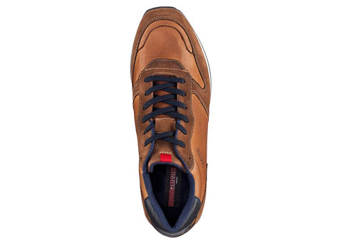 Lloyd Sneaker Edmond cigar