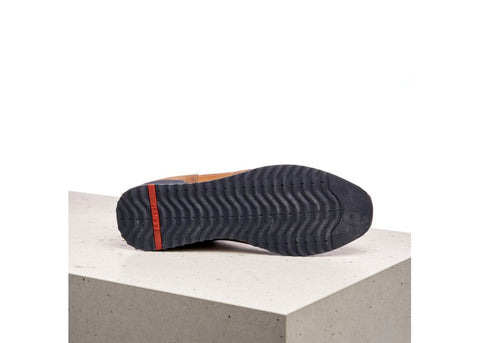 Lloyd Sneaker Edmond cigar