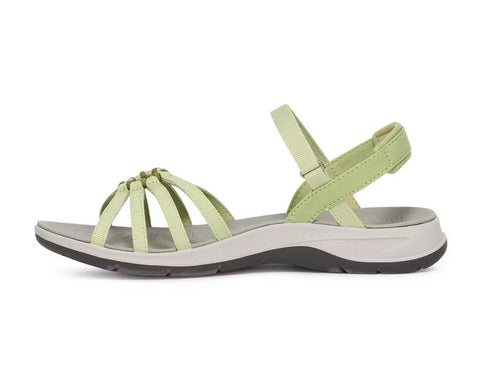 Teva Tirra Traveler seedling