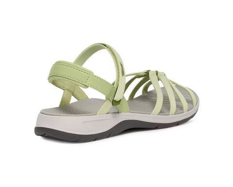 Teva Tirra Traveler seedling