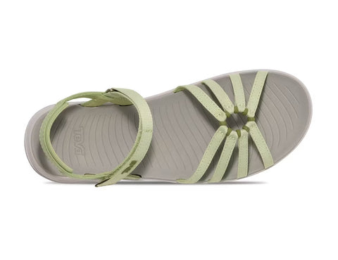 Teva Tirra Traveler seedling