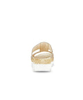 Gabor - Slides - Gabor Mule muschel/visone