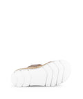 Gabor - Slides - Gabor Mule muschel/visone