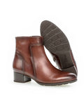 Gabor - Stiefeletten - Gabor Stiefelette