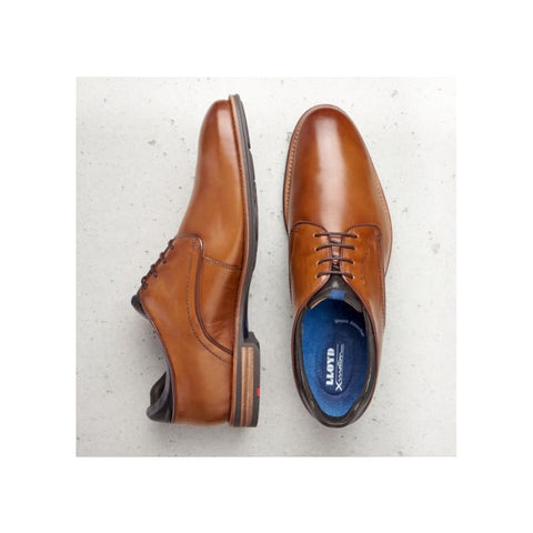 Lloyd - Business-Schuhe - Lloyd Massimo