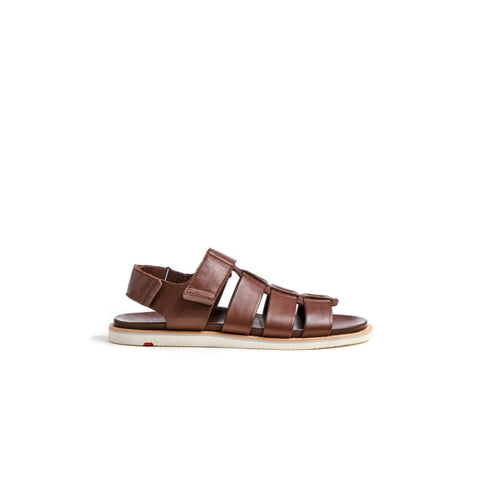 Lloyd - Sandalen - Lloyd Sandale Elimar coffee