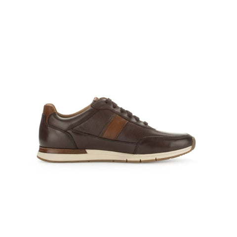 Pius Gabor - Sneakers - Pius Gabor Sneaker mocca/cognac