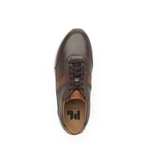Pius Gabor - Sneakers - Pius Gabor Sneaker mocca/cognac