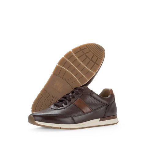 Pius Gabor - Sneakers - Pius Gabor Sneaker mocca/cognac