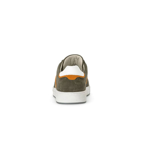 Pius Gabor - Sneakers - Pius Gabor Sneaker suede/leaf